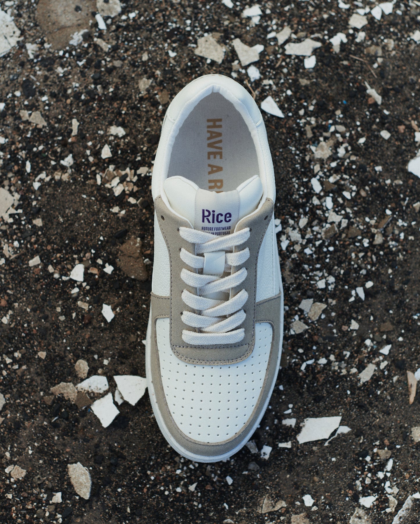 Sneaker OPEN21 Beige / Ecru