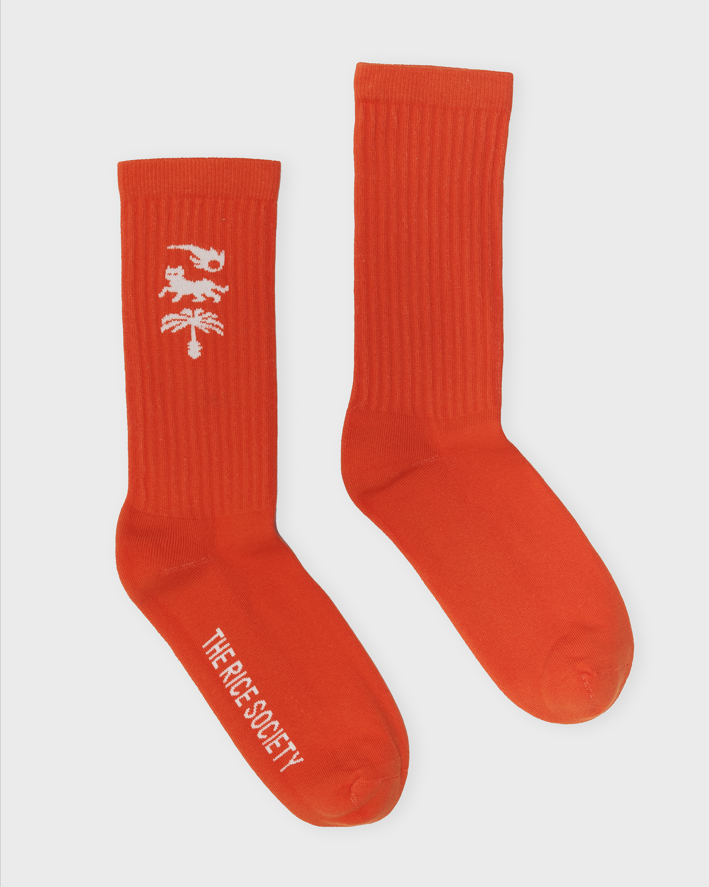 AVY ORGANIC CREW SOCK Orange